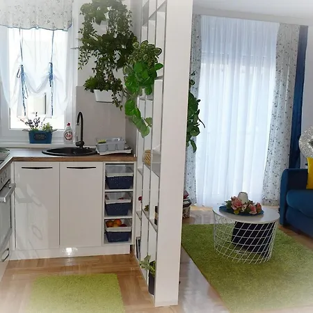 Safir Vrnjacka Banja